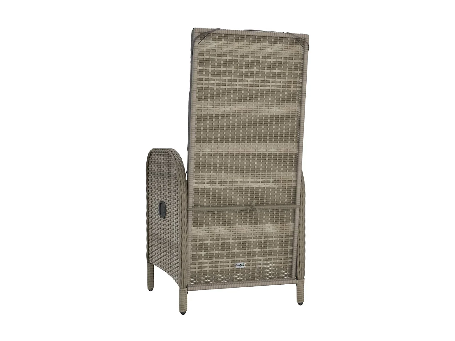 Chaises d'extérieur lot de 2 Résine tressée Gris