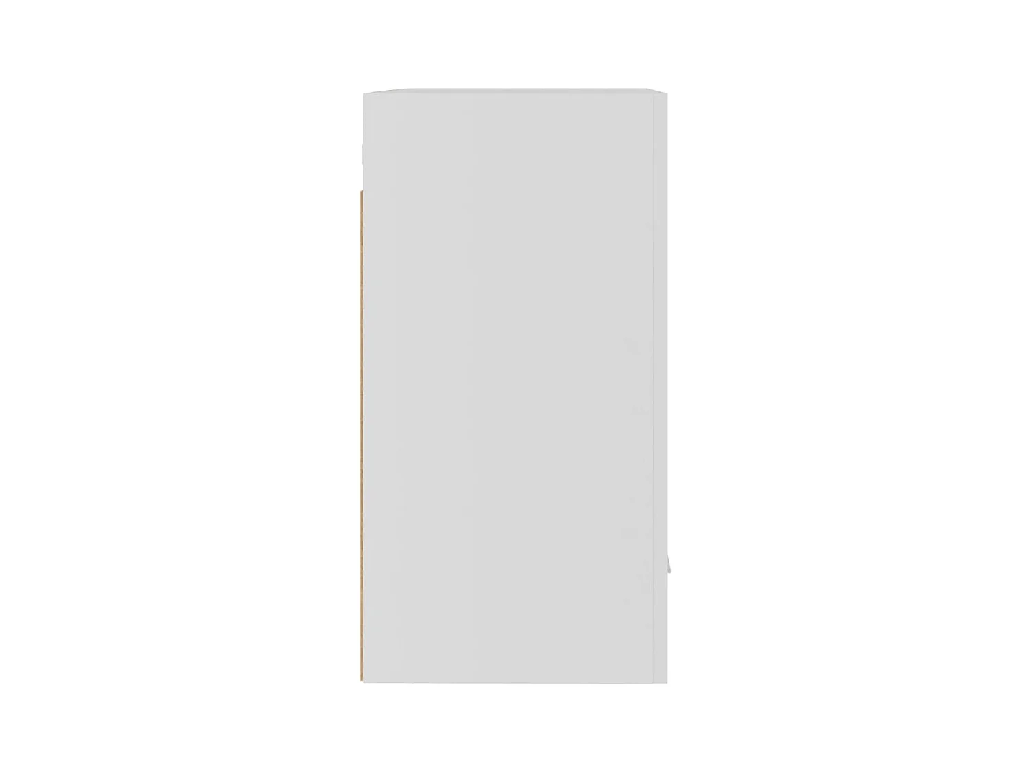 "Lyon"s 2-delige hangkast, wit, 50x31x60 cm