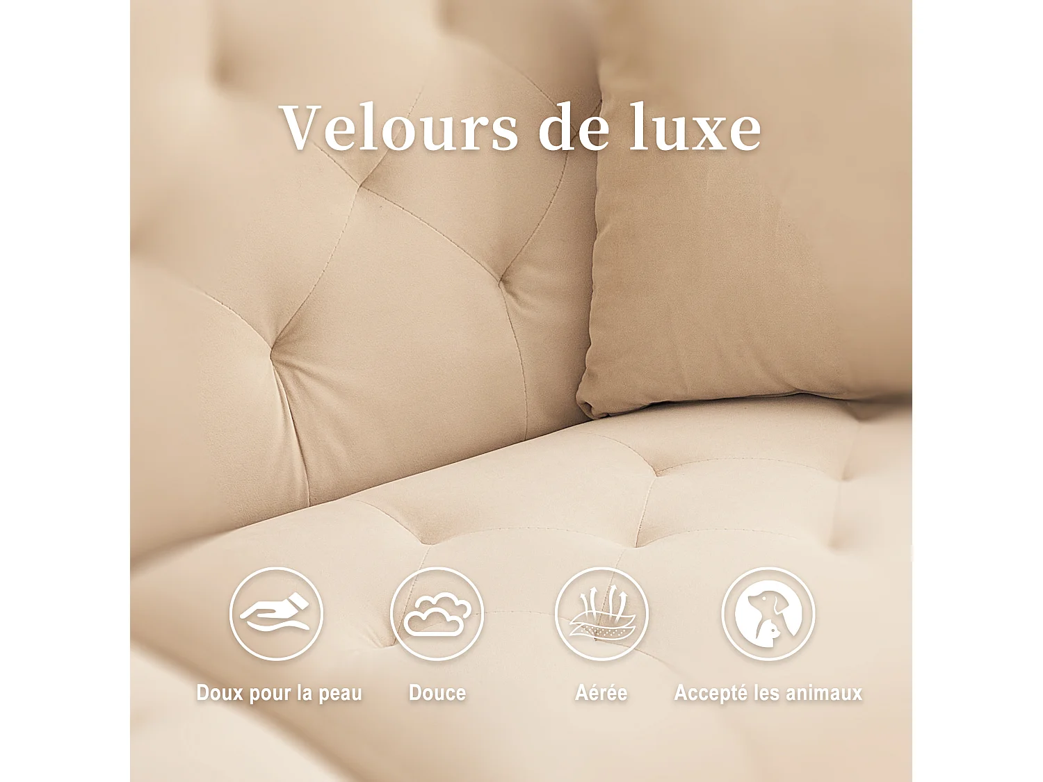 Canapé 2 Places en Tissu Velour Beige à Pieds Dorés - Design Luxe et Élégant – 2 Coussins Inclus