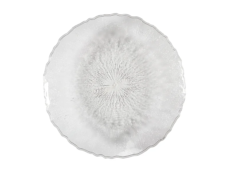 Grand Plateau Rond Plastique D42.5cm Sabah Transparent