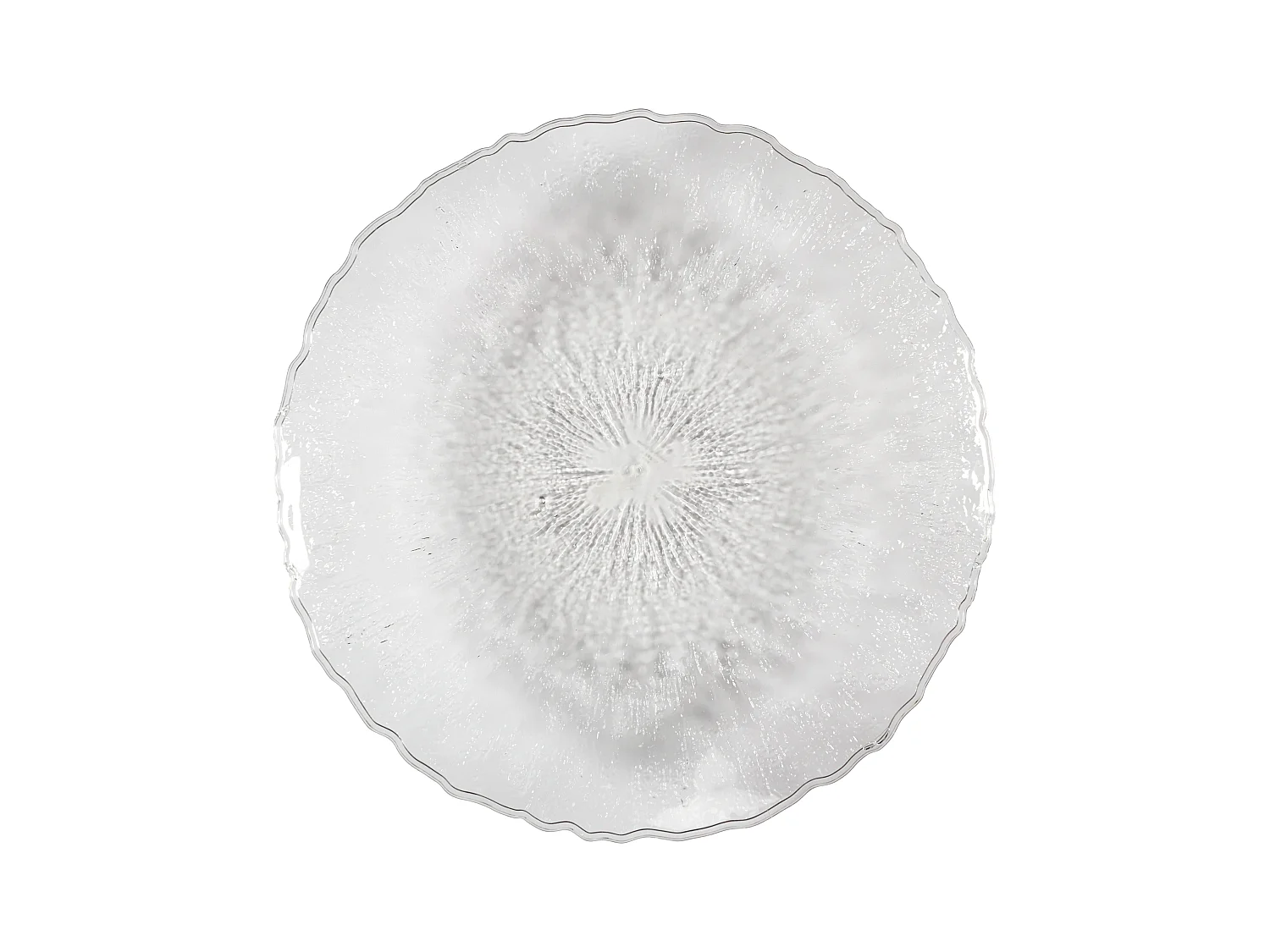 Grand Plateau Rond Plastique D42.5cm Sabah Transparent