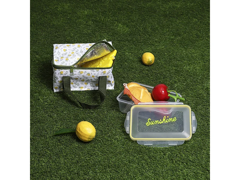 Lunch Box Sac Fraicheur Pain De Glace 2.6l2 Jaune, Vert