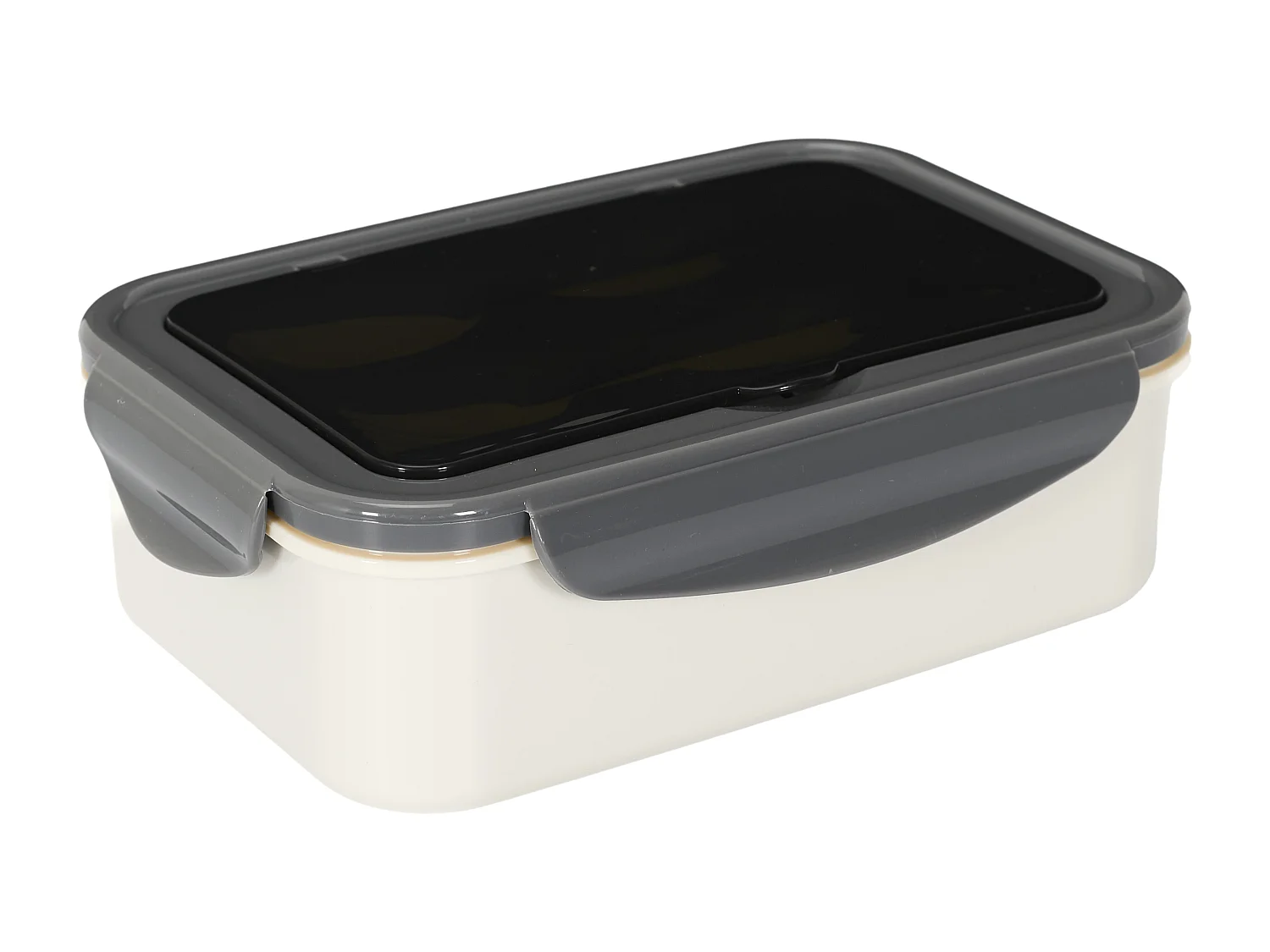 Lunch Box Unicolore Avec Couverts Gris