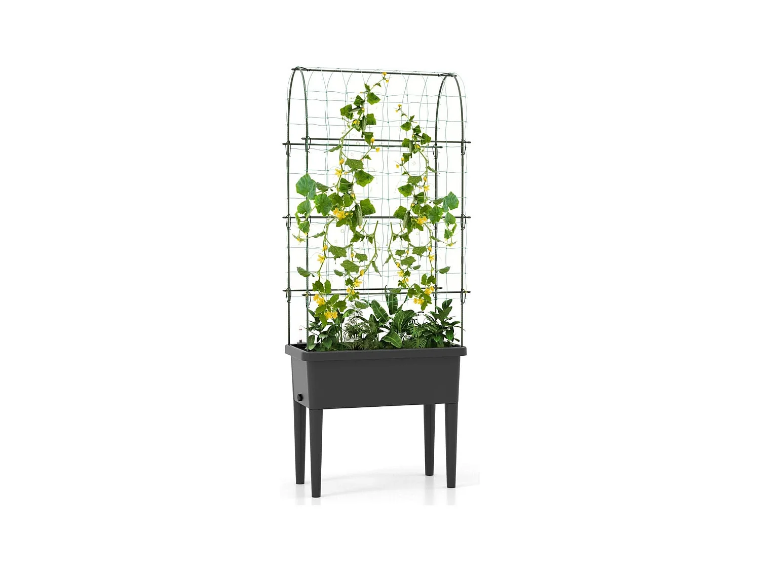Jardinière Surélevée à Arrosage Automatique avec Treillis Lit de Jardin avec Indicateur de Niveau d'Eau Trou De Drainage pour Fleurs Légumes Noir