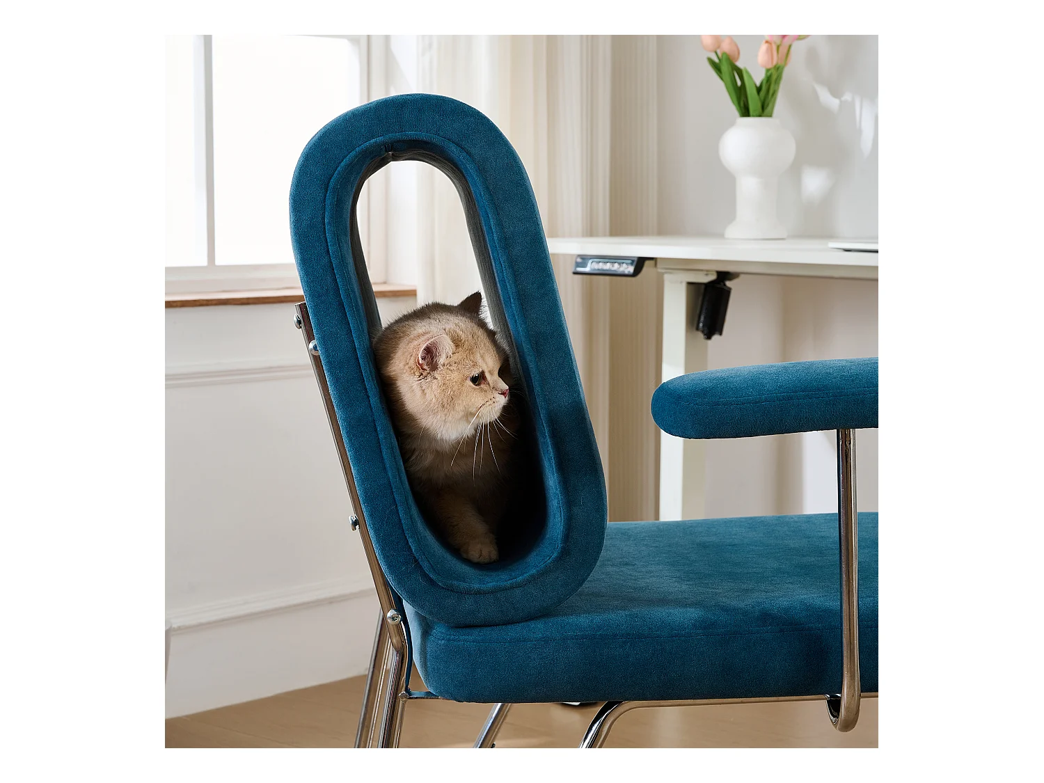 Bürostuhl – 77 x 70 x 89 cm – mit integriertem Katzenbett – austauschbare Armlehnen – Holz + Stahl – Blau