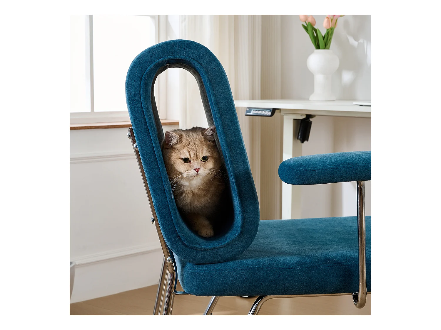 Bürostuhl – 77 x 70 x 89 cm – mit integriertem Katzenbett – austauschbare Armlehnen – Holz + Stahl – Blau