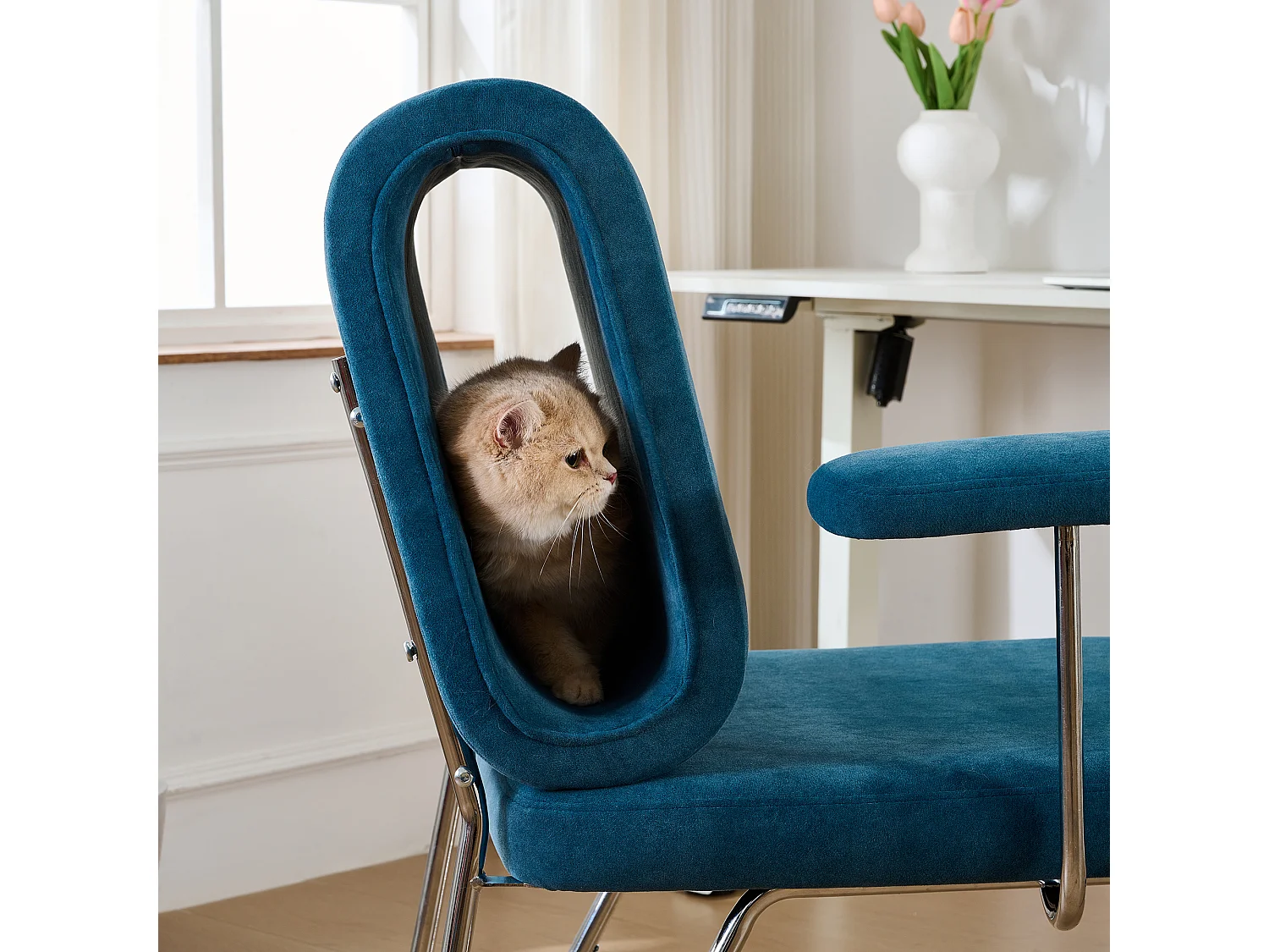 Chaise de bureau - 77 x 70 x 89 cm - avec lit pour chat intégré - accoudoirs remplaçables - Bois + Acier - bleu