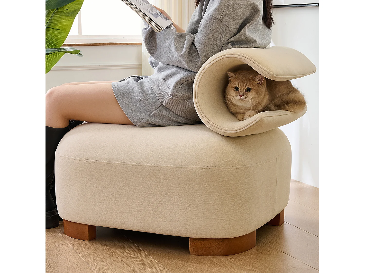 Canapé avec grotte pour chat - 79 x 69 x 64 cm - futon adapté aux animaux de compagnie - bois - beige