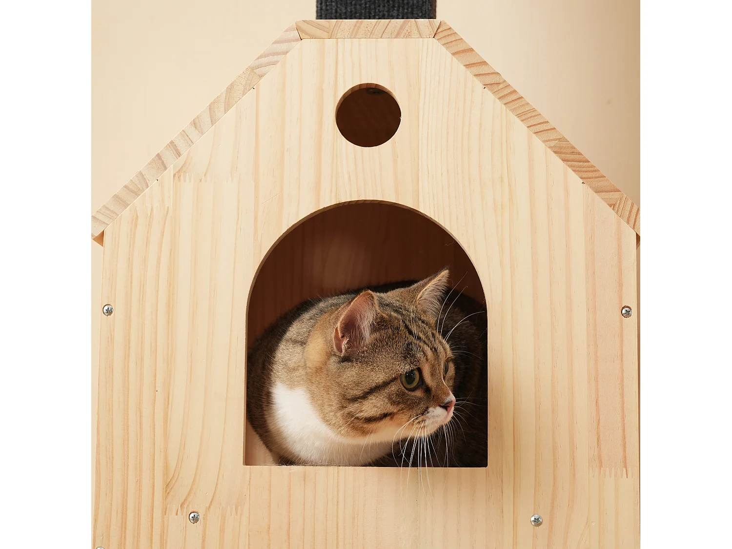 Arbre à chat avec roue d'exercice - 80 x 40 x 152 cm - avec 4 plateformes + 2 maisons + tapis à gratter - bois - naturel