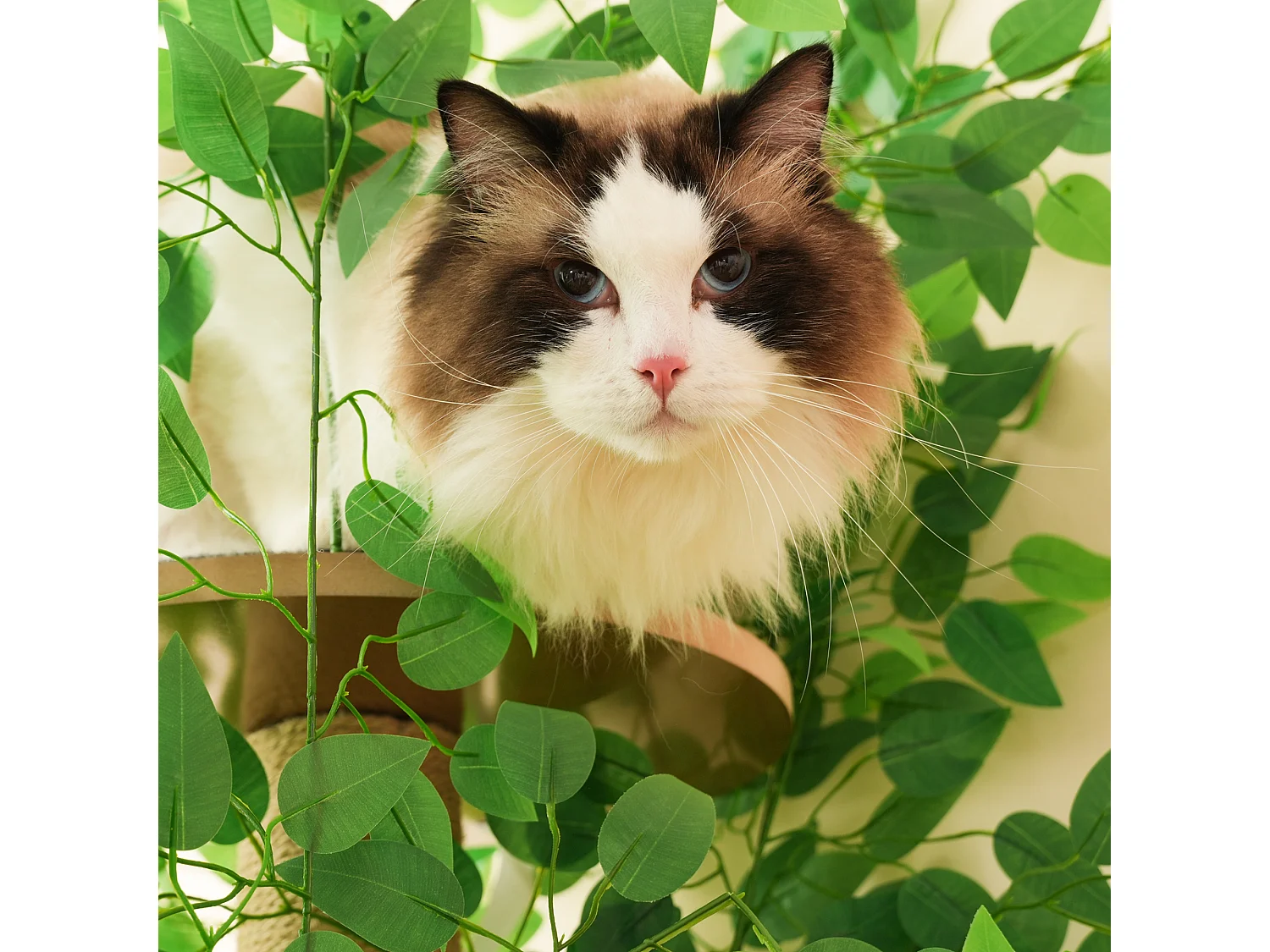 Kratzbaum – 60 x 45 x 190 cm – mit 4 Plattformen + Katzenhöhlen – abnehmbaren Blättern – MDF – Grün