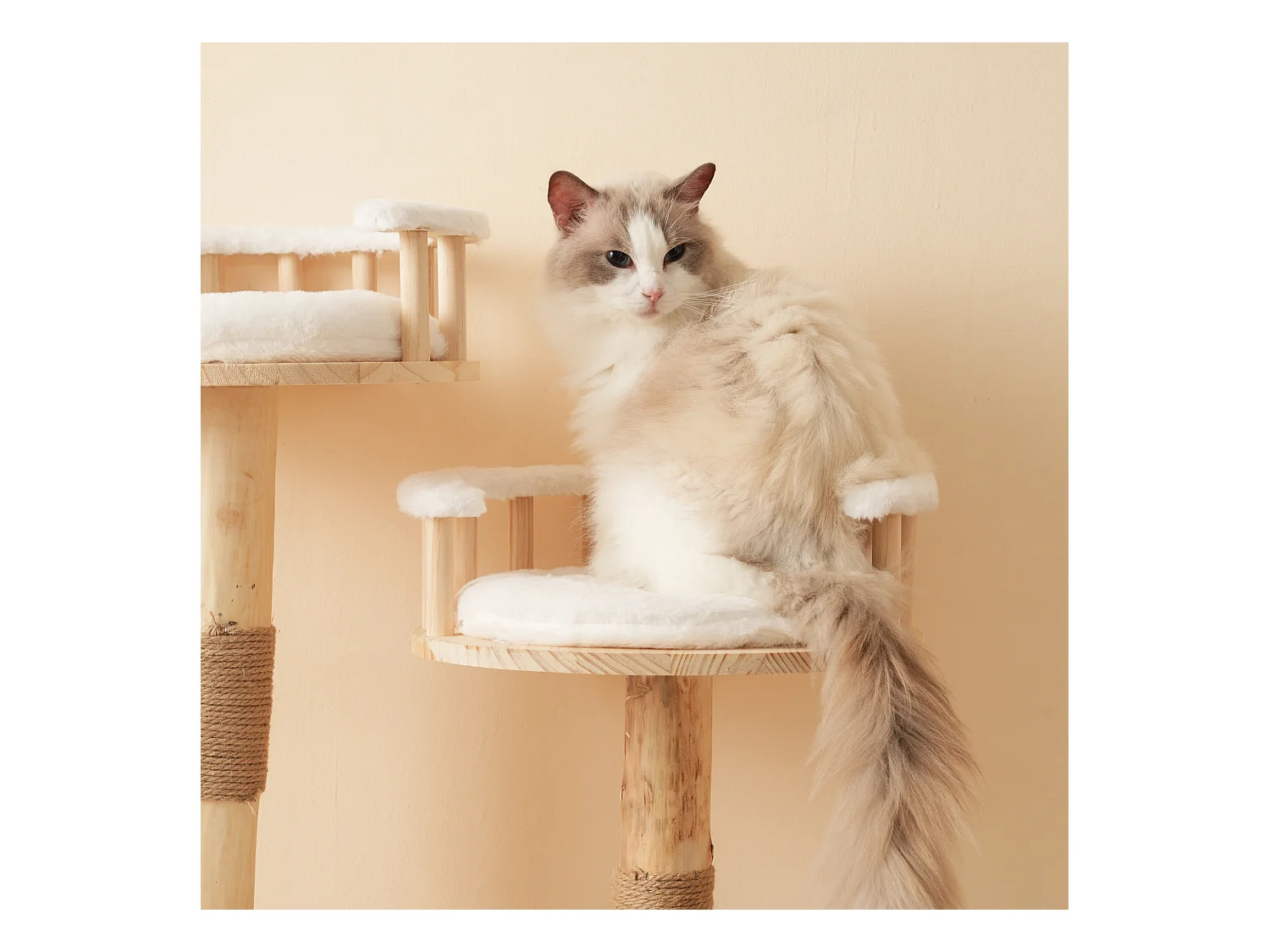 Arbre à chat - 60 x 48 x 98 cm - avec tremplin à 3 niveaux + coussins amovibles + balles de jeu - bois - blanc