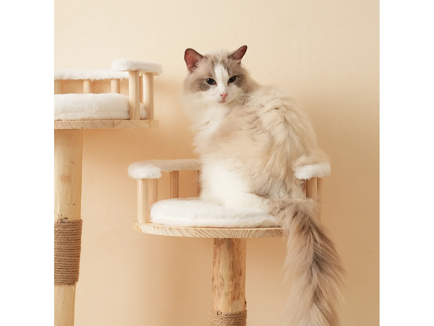 Arbre à chat - 60 x 48 x 98 cm - avec tremplin à 3 niveaux + coussins amovibles + balles de jeu - bois - blanc