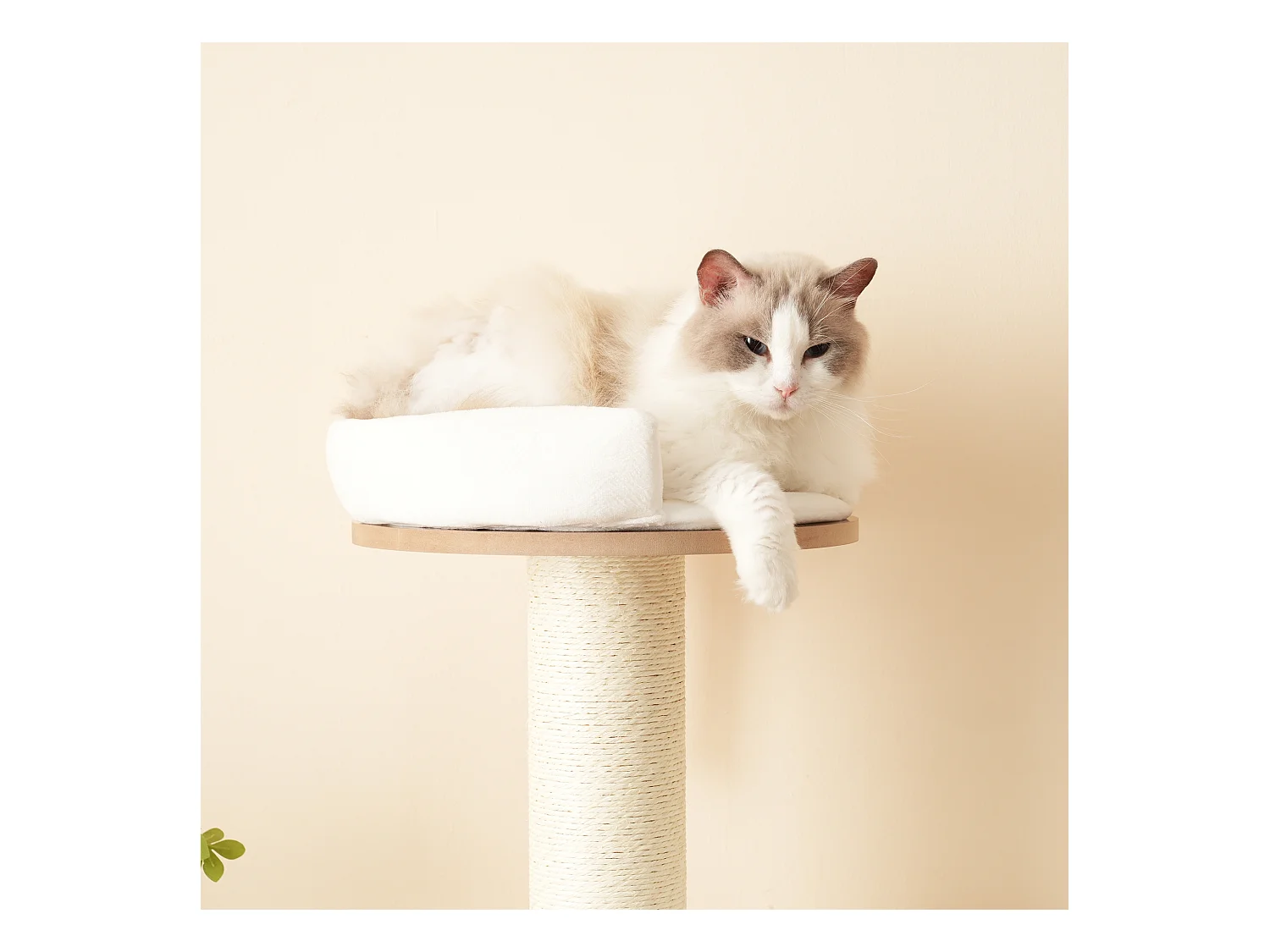 Arbre à chat - 60 x 48 x 135 cm - avec 3 plateformes + 1 maison + tapis amovibles - MDF - blanc