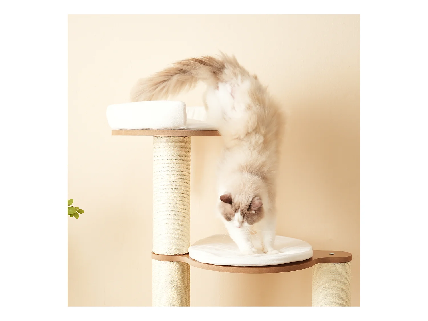 Arbre à chat - 60 x 48 x 135 cm - avec 3 plateformes + 1 maison + tapis amovibles - MDF - blanc