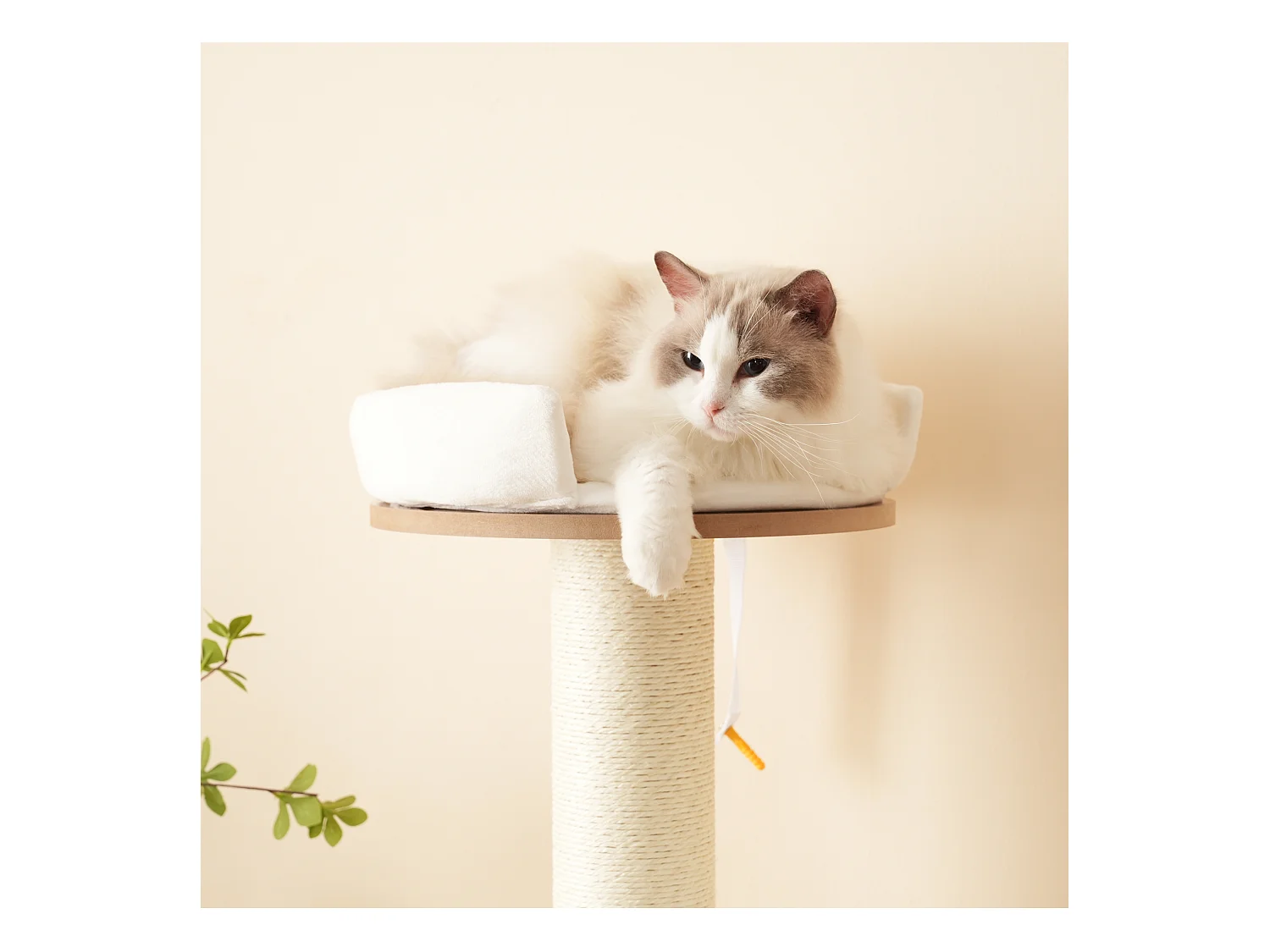 Arbre à chat - 60 x 48 x 135 cm - avec 3 plateformes + 1 maison + tapis amovibles - MDF - blanc