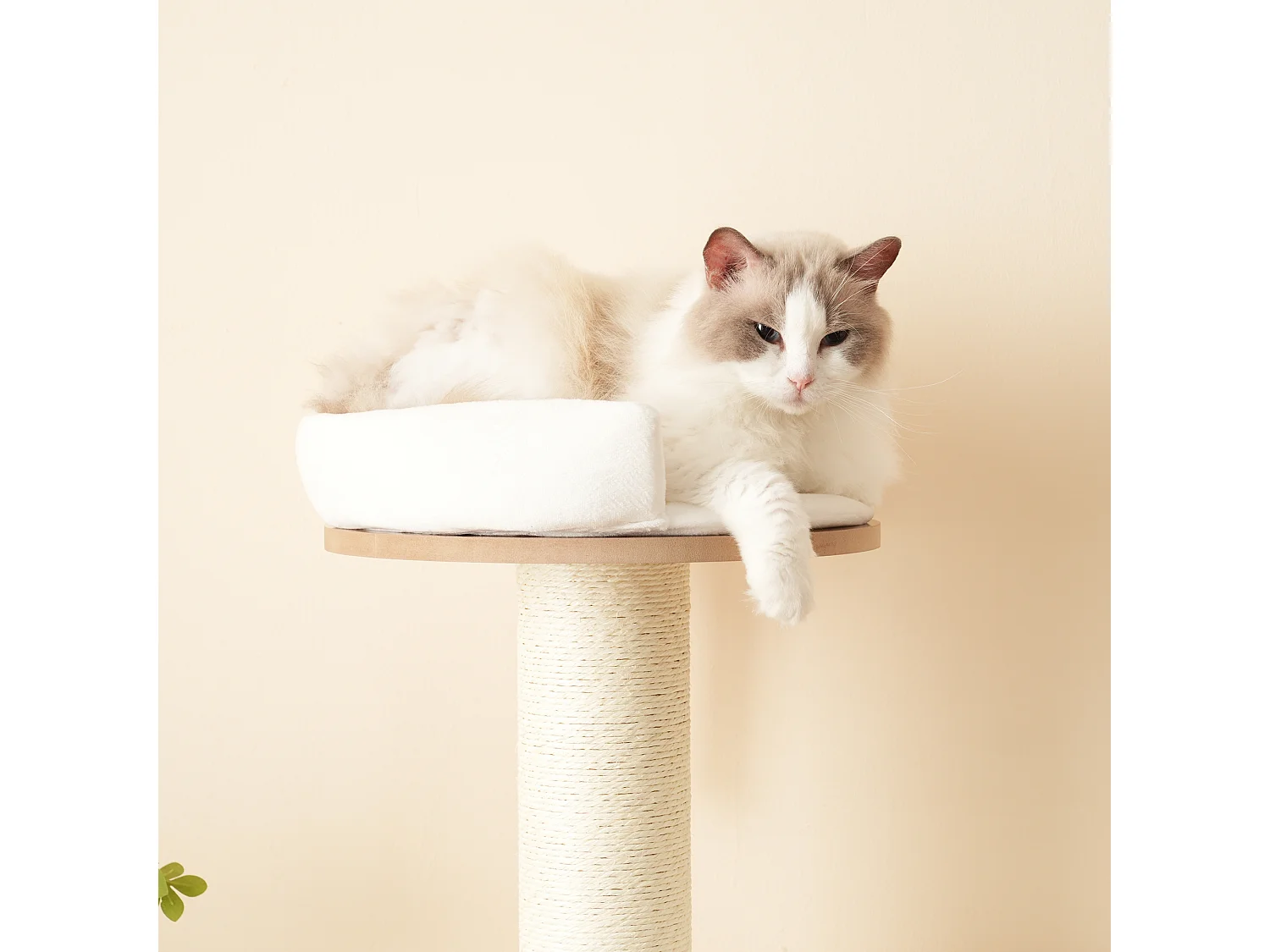 Arbre à chat - 60 x 48 x 135 cm - avec 3 plateformes + 1 maison + tapis amovibles - MDF - blanc