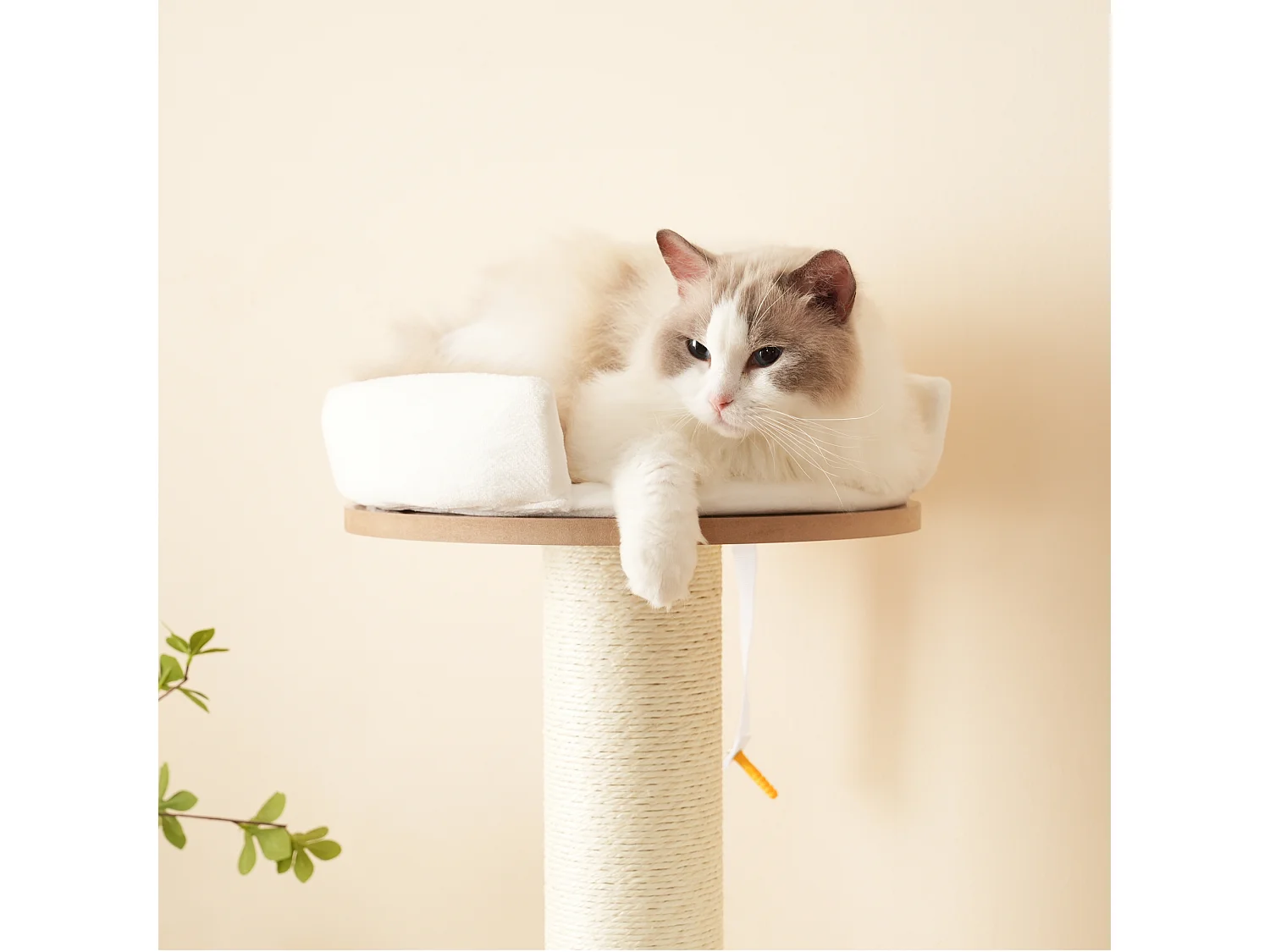 Arbre à chat - 60 x 48 x 135 cm - avec 3 plateformes + 1 maison + tapis amovibles - MDF - blanc