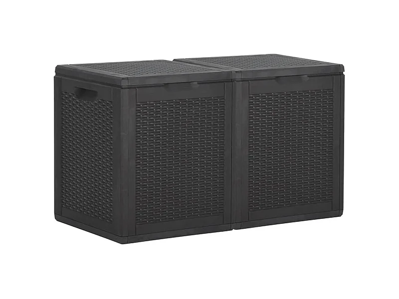 Boîte de rangement de jardin 180 L Noir PP
