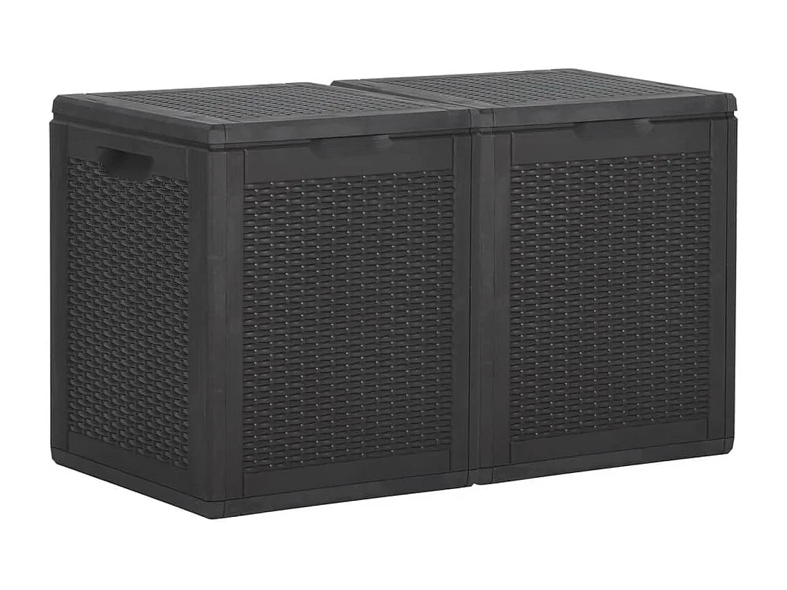 Boîte de rangement de jardin 180 L Noir PP