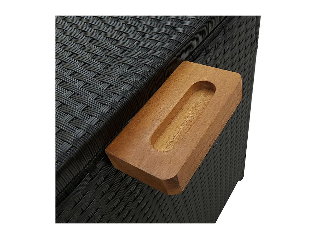 Boîte de rangement de jardin Noir 120x65x61 Résine tressée