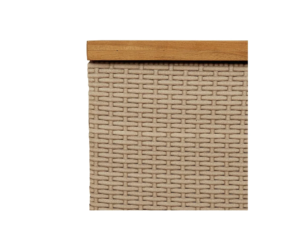 Boîte de rangement de jardin beige résine tressée bois d'acacia