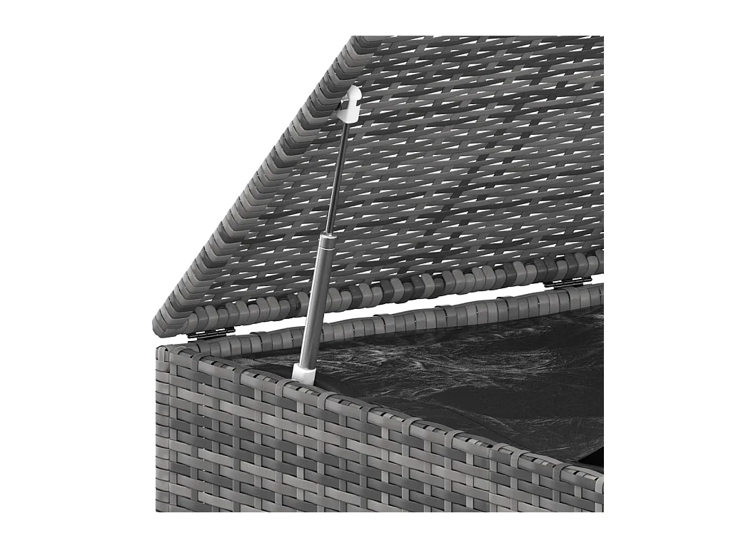 Boîte à coussins de jardin Résine tressée 145x100x103 Gris
