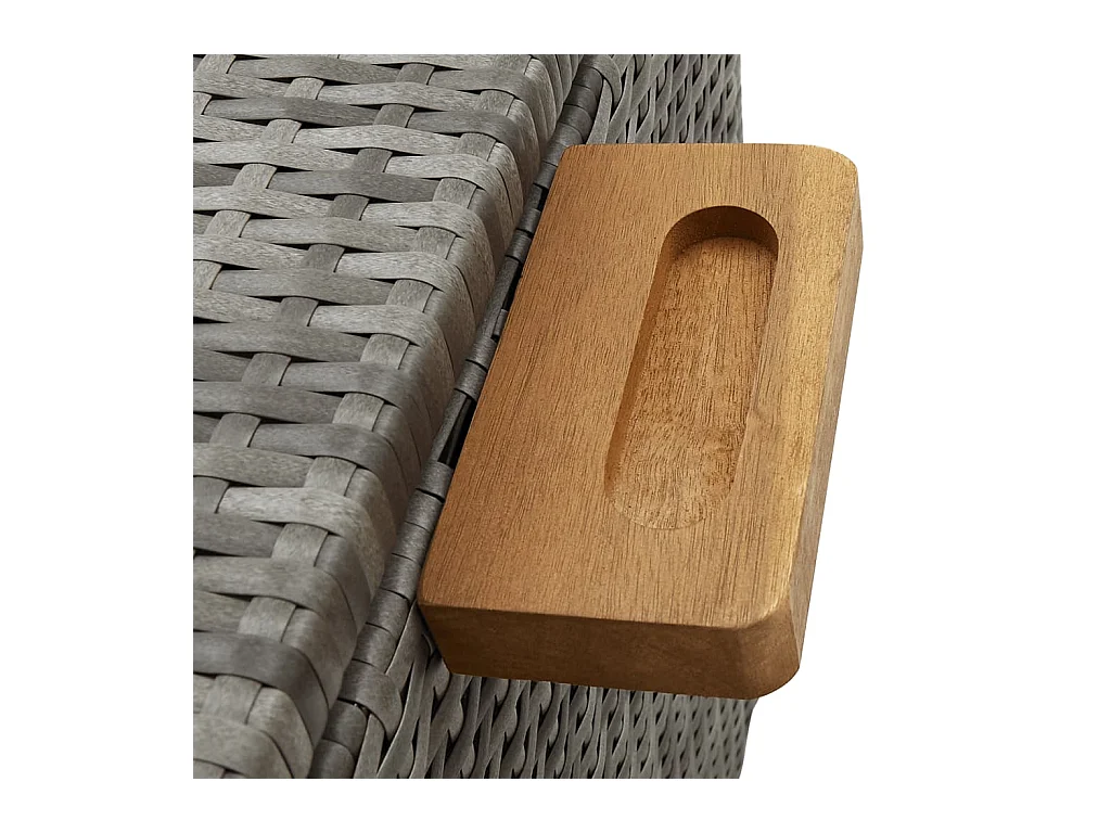 Boîte de rangement de jardin Gris clair 120x65x61 Rotin