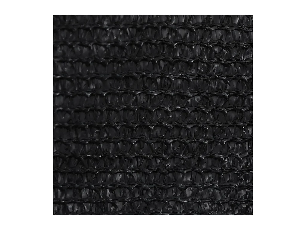 Voile d'ombrage 160 g-m² Noir 2,5x2,5x3,5 m PEHD