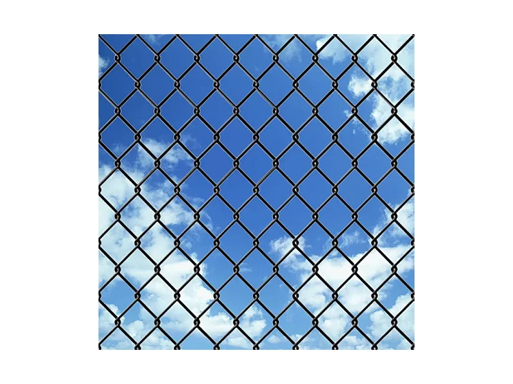 Clôture à mailles Acier 25 x 1,5 m Gris