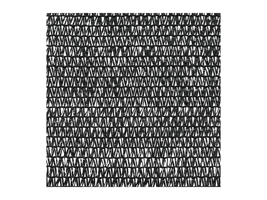 Filet brise-vue Noir 2x10 m PEHD 75 g-m²