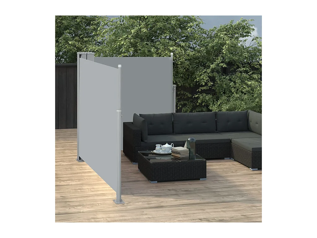 Auvent latéral rétractable Anthracite 120x600