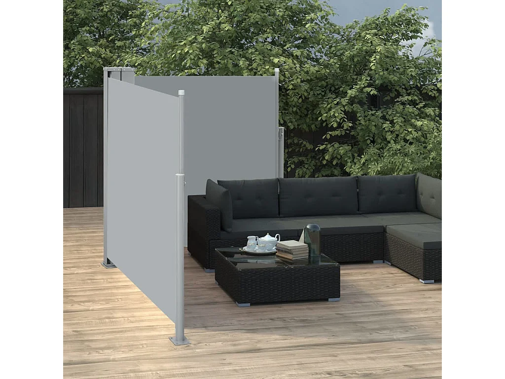 Auvent latéral rétractable Anthracite 120x600