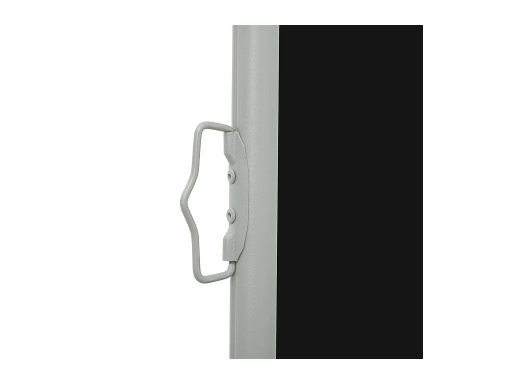 Auvent latéral rétractable de patio 100x300 Noir