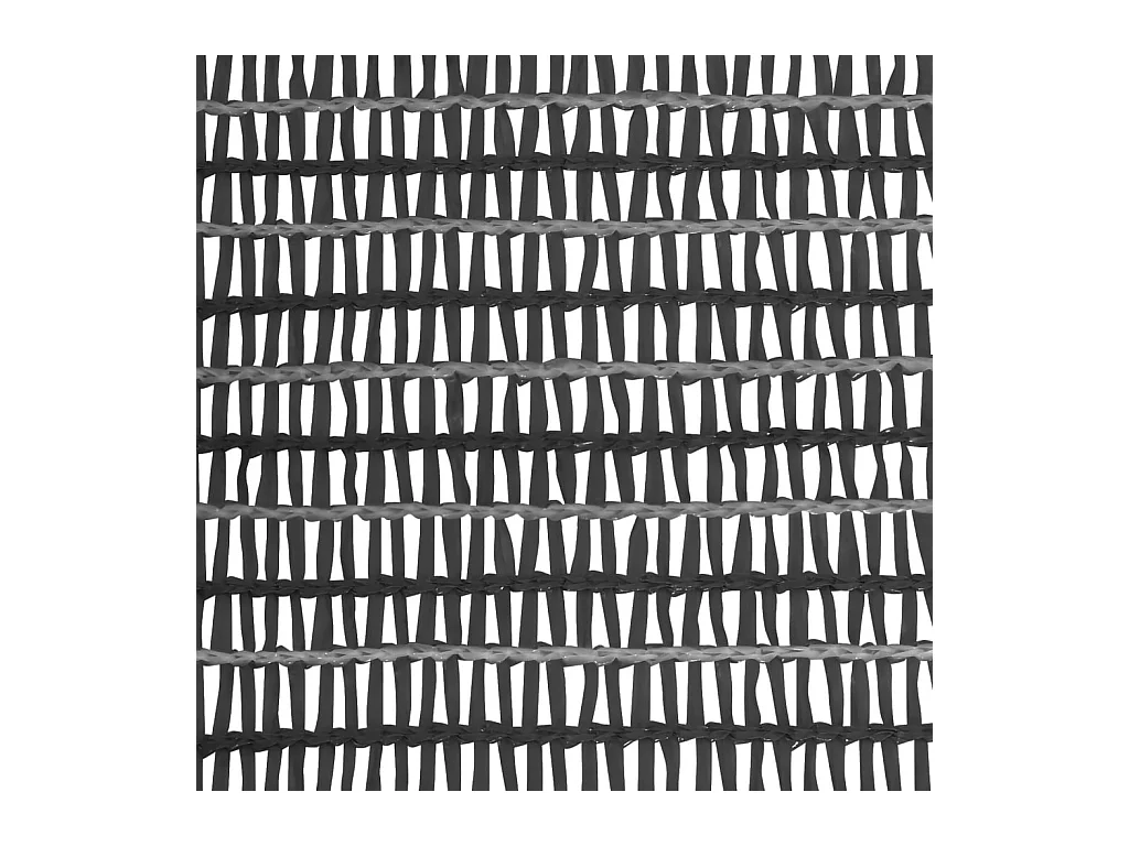 Filet brise-vue Anthracite 1,8x10 m PEHD 150 g-m²