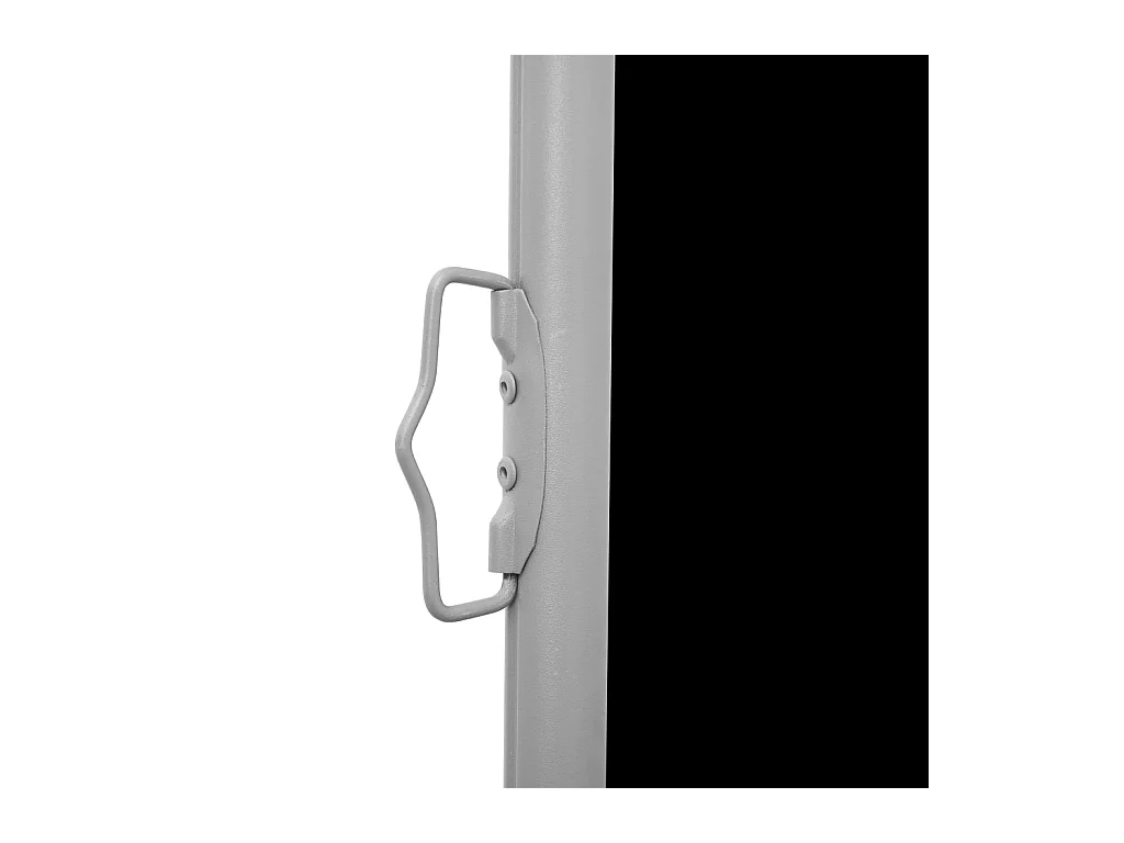 Auvent latéral rétractable Noir 160x600
