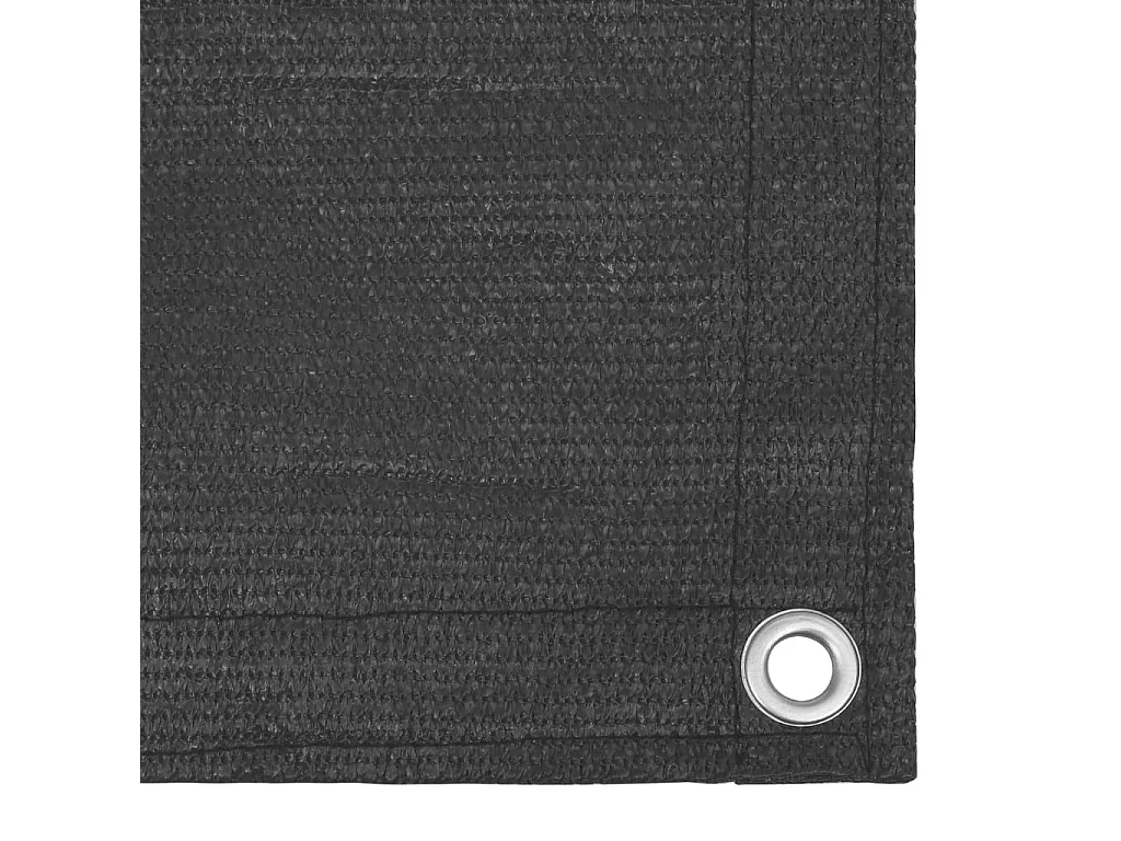 Écran de balcon Anthracite 90x300 PEHD