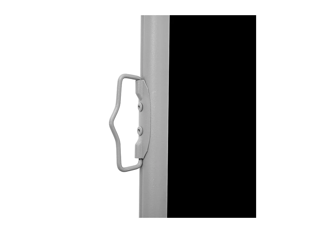 Auvent latéral rétractable de patio 140x1200 Noir