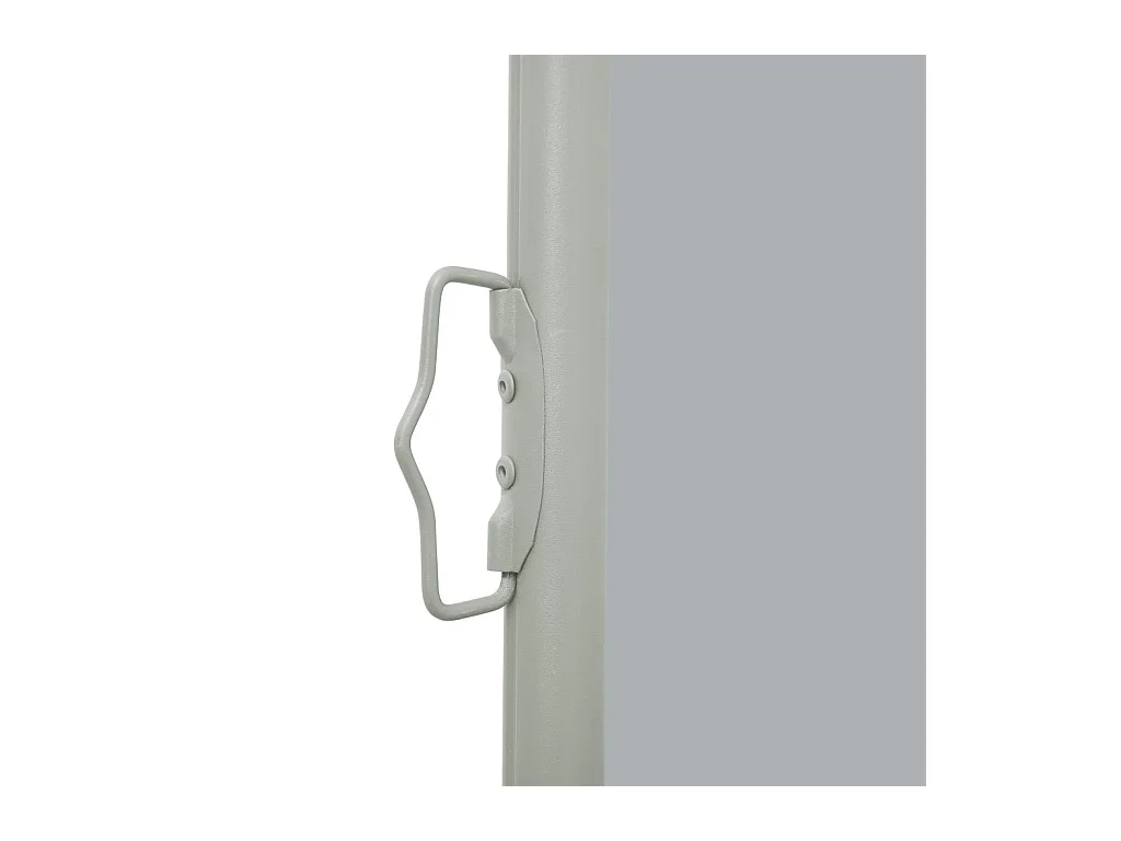 Auvent latéral rétractable de patio 100x300 Gris