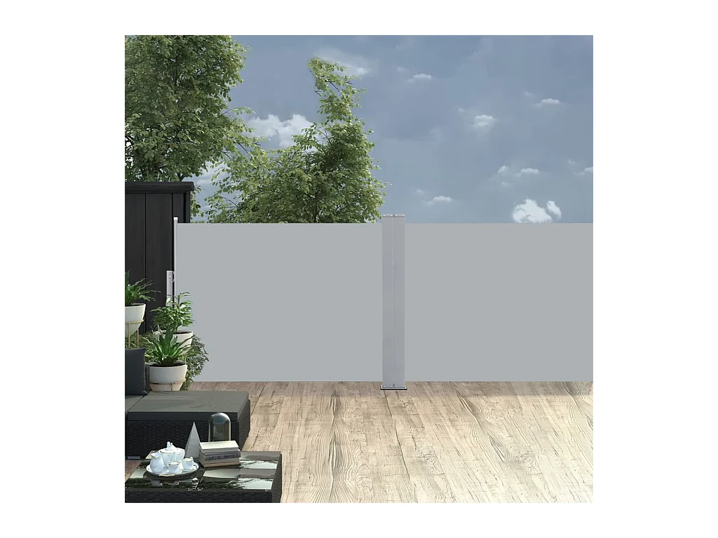 Auvent latéral rétractable Anthracite 120x1000