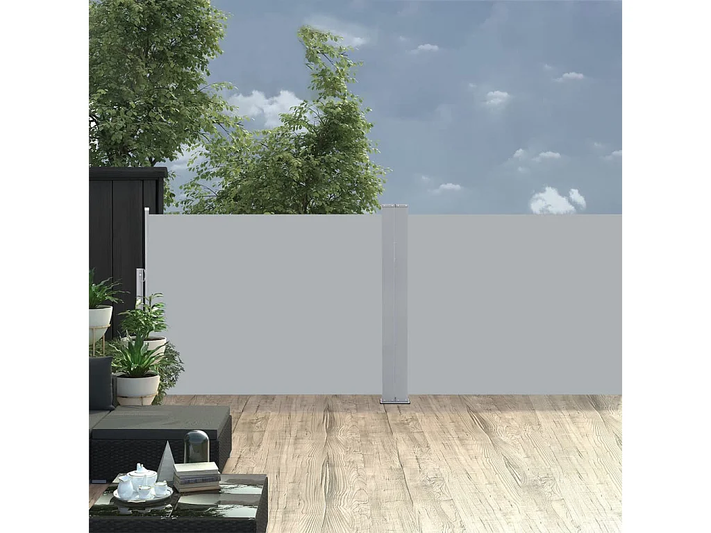 Auvent latéral rétractable Anthracite 120x1000