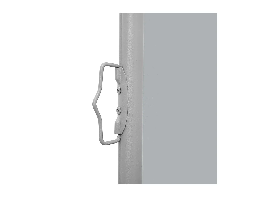Auvent latéral rétractable Anthracite 100x600