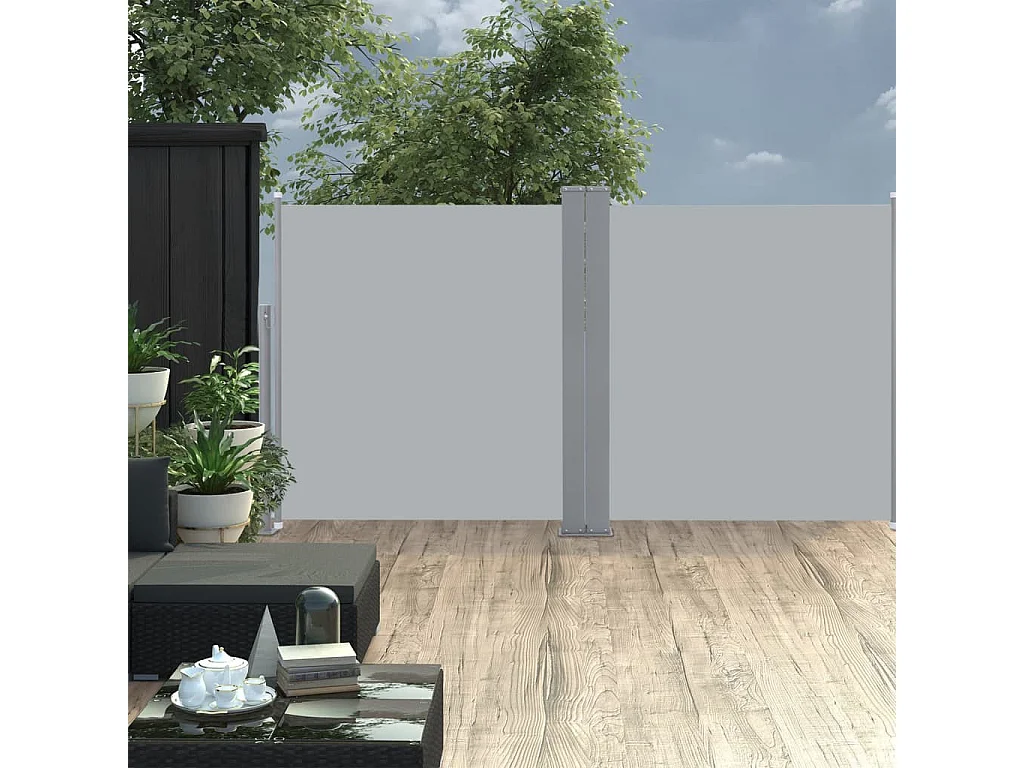Auvent latéral rétractable Anthracite 100x600