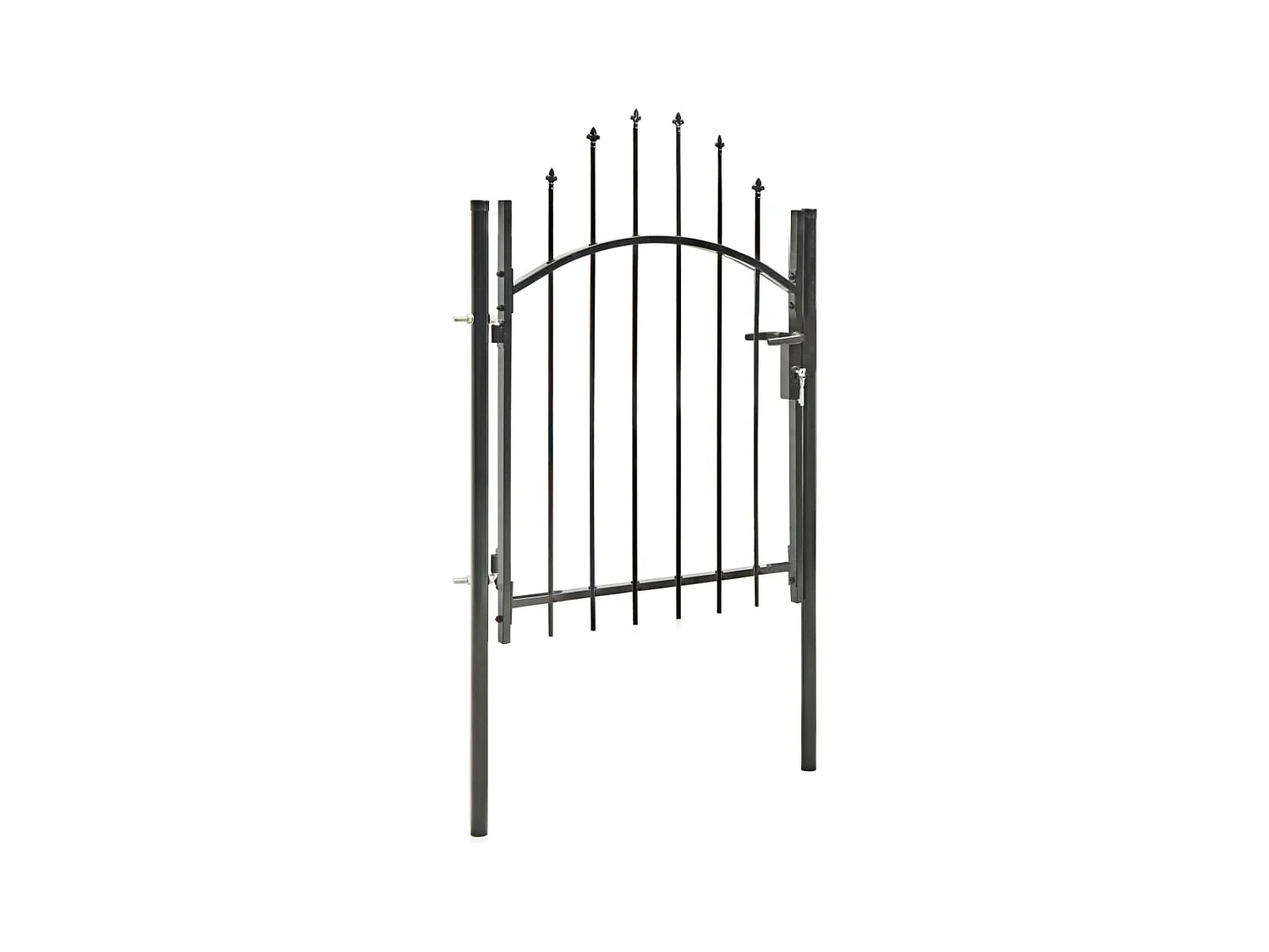 Portail de jardin Acier 1 x 1,5 m Noir