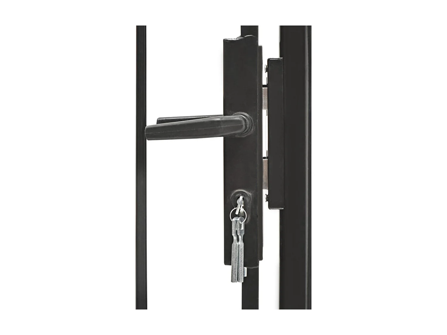 Portail de jardin Acier 1 x 1,5 m Noir