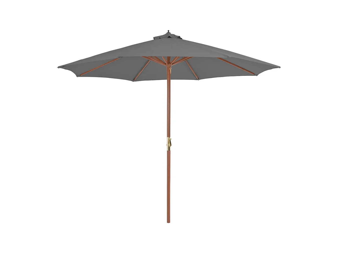 Parasol d'extérieur avec mât en bois 300cm Anthracite