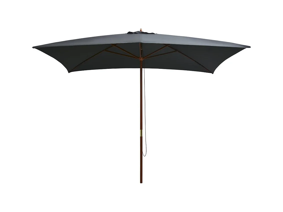 Parasol d'extérieur avec mât en bois 200x300 Anthracite