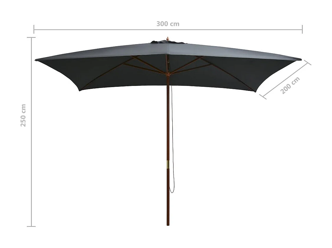 Parasol d'extérieur avec mât en bois 200x300 Anthracite