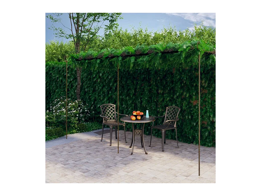 Pergola de jardin Marron antique 6x3x2,5 m Fer