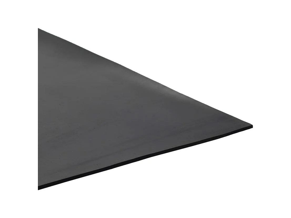 Tapis en caoutchouc antidérapant 1,2x2 m 2 mm Lisse