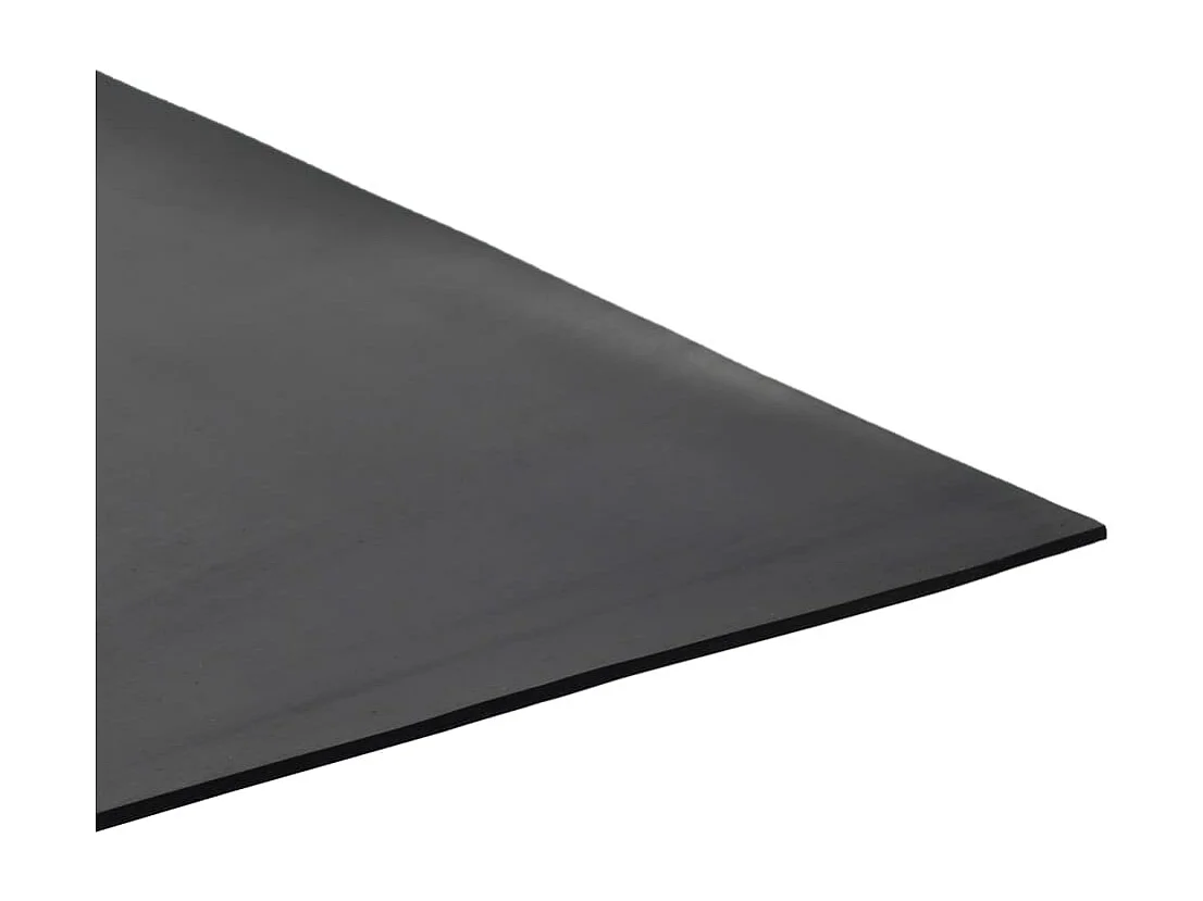 Tapis en caoutchouc antidérapant 1,2x2 m 2 mm Lisse